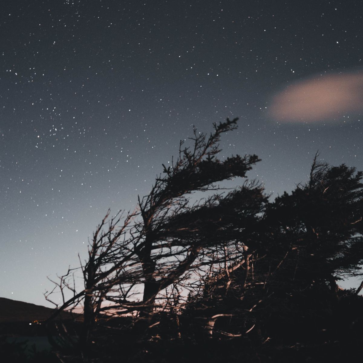 사주명리로 보는 ‘숨겨진 재산’과 말년의 책임