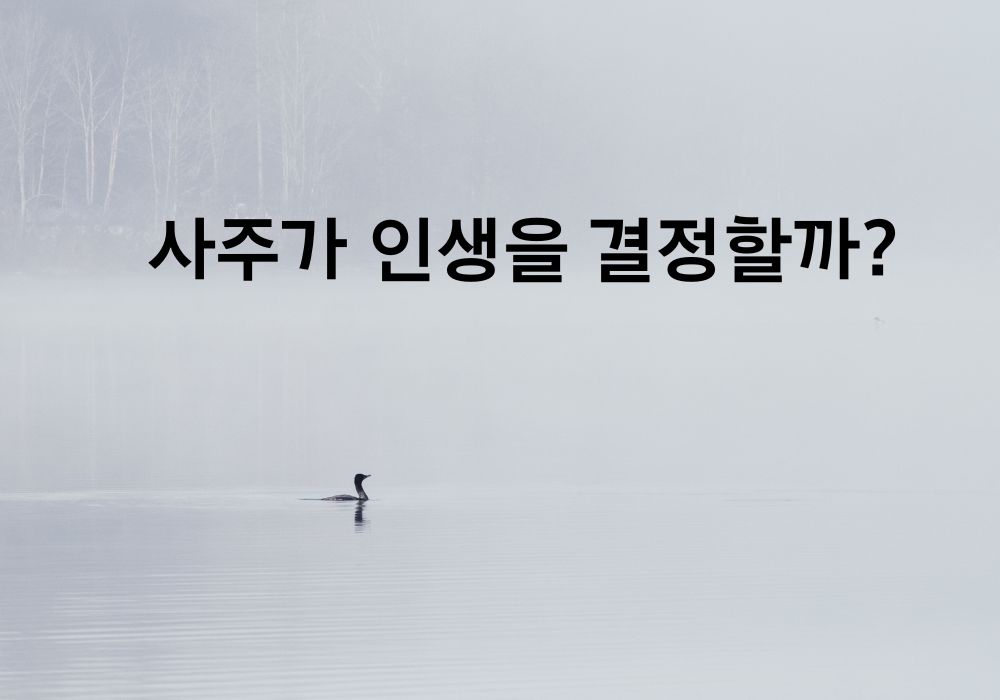 사주가 인생을 결정할까?