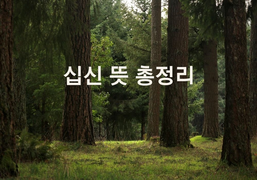 십신 뜻과 비견 겁재 식신 상관 정재 편재 정관 편관 정인 편인의 관계를 설명하는 이미지