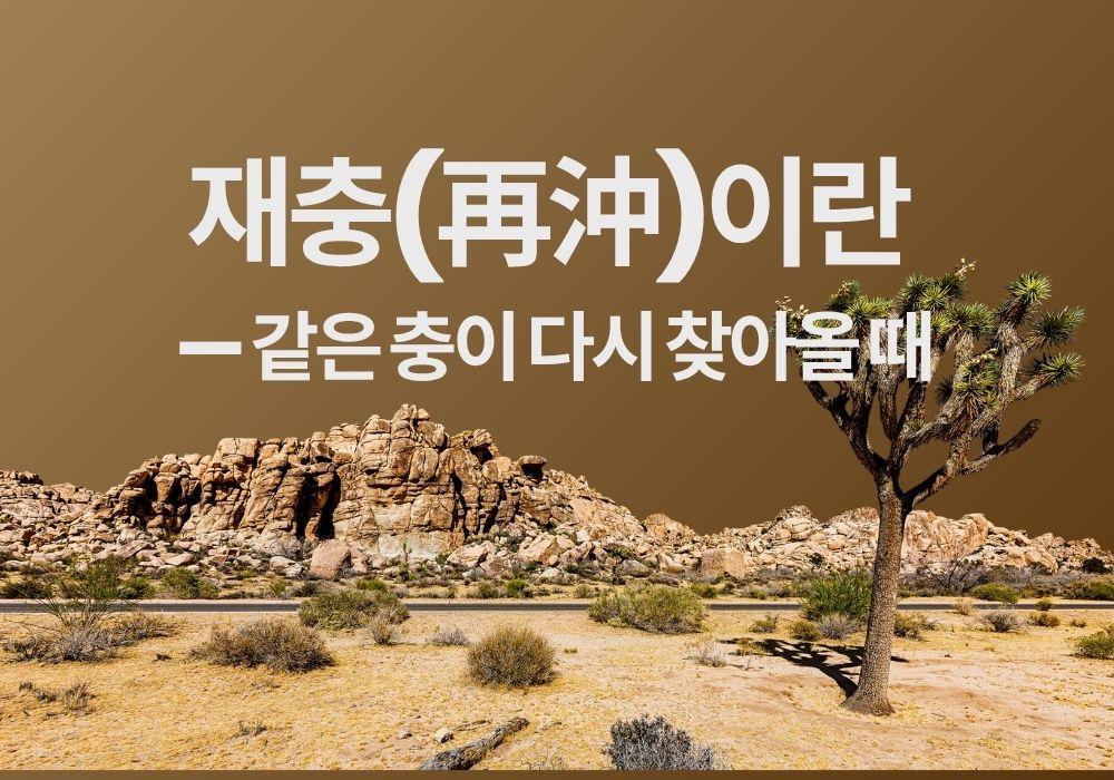 사주 재충이란 무엇인지를 상징하는 이미지
