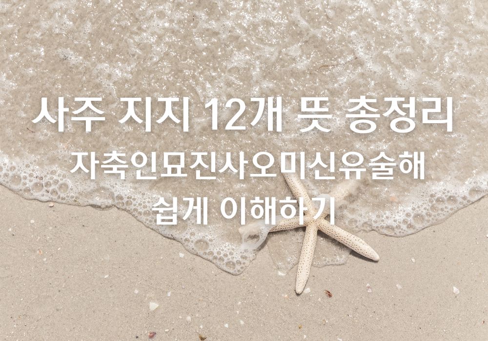 사주 지지 뜻과 자축인묘진사오미신유술해 12개의 오행 계절 시간을 설명하는 이미지