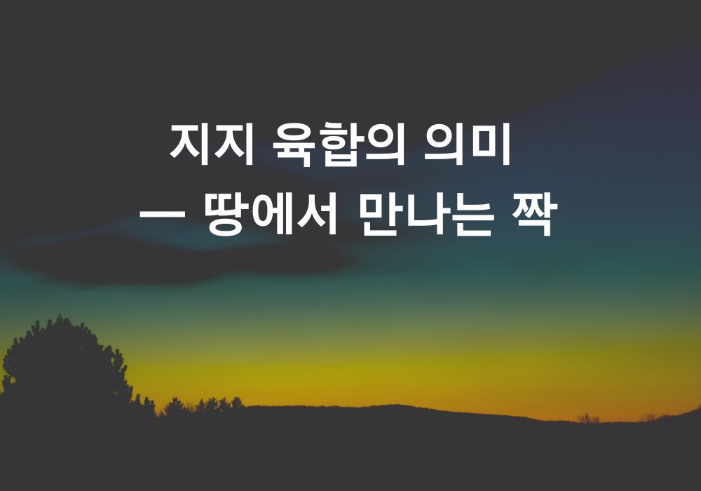 사주 지지 육합의 의미를 상징하는 이미지