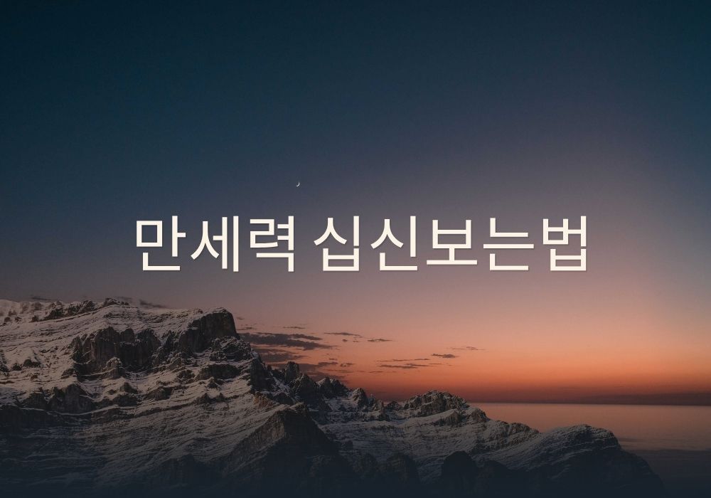 만세력 십신 보는 법과 가상 사주 상세표의 정재 비견 설명