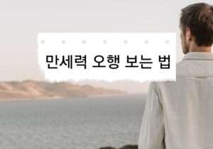 만세력 오행 보는 법