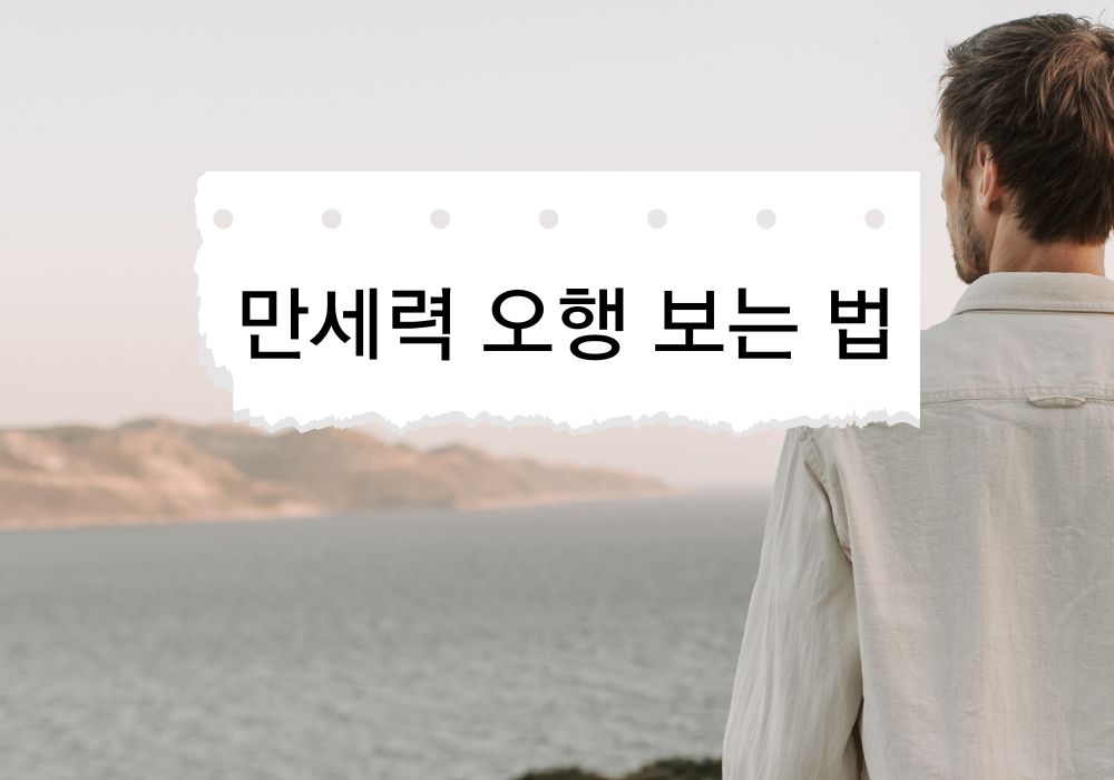 만세력 오행 보는 법