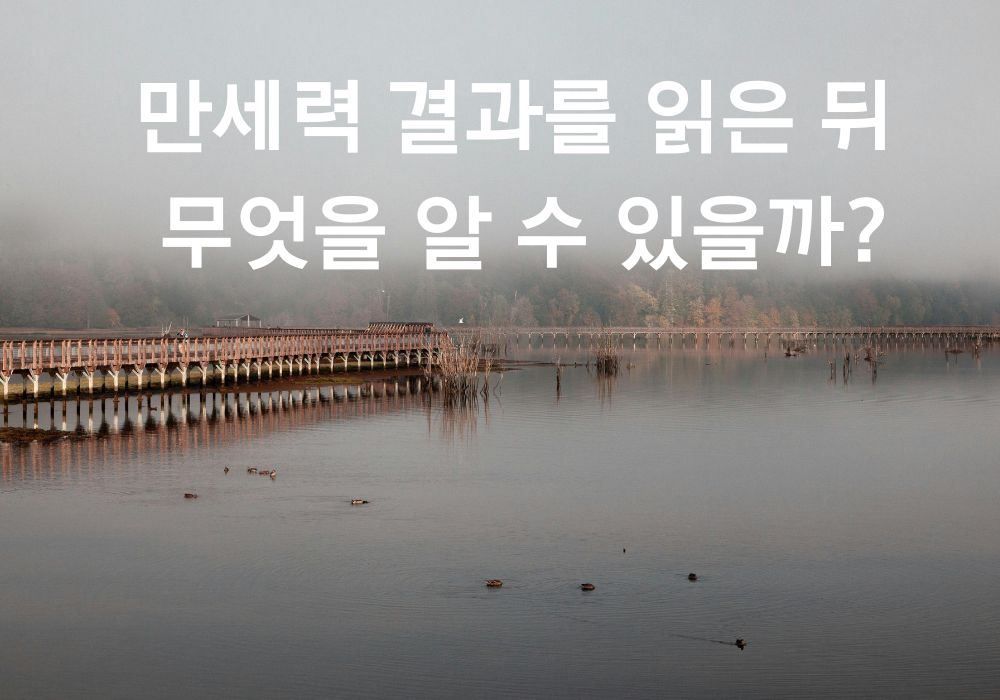 만세력 결과를 읽은뒤 무엇을 할 수 있을까?